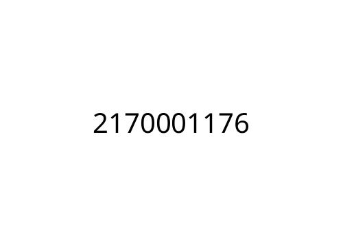 2170001176
