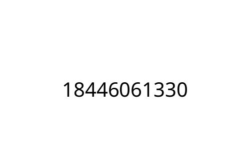 18446061330
