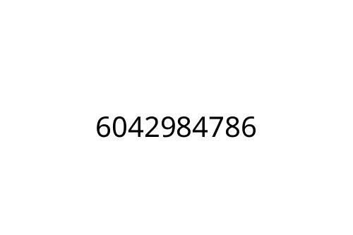 6042984786