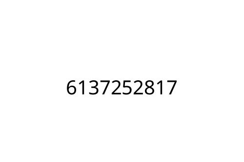 6137252817