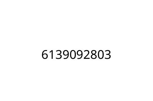 6139092803