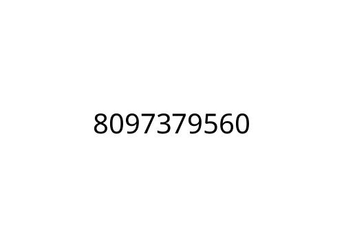 8097379560