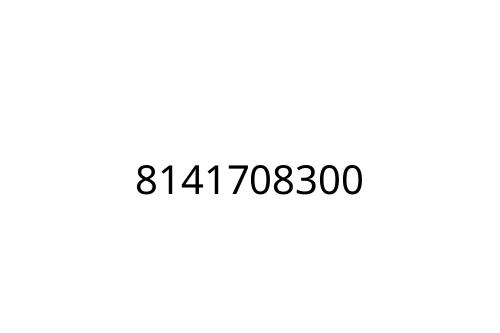 8141708300