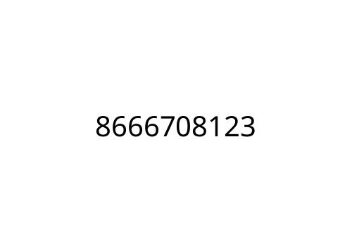 8666708123