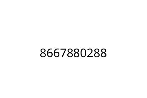 8667880288