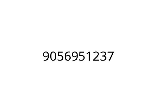 9056951237