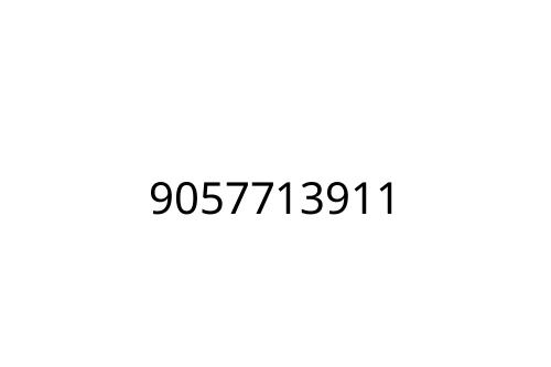 9057713911