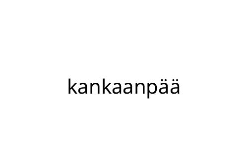 kankaanp__