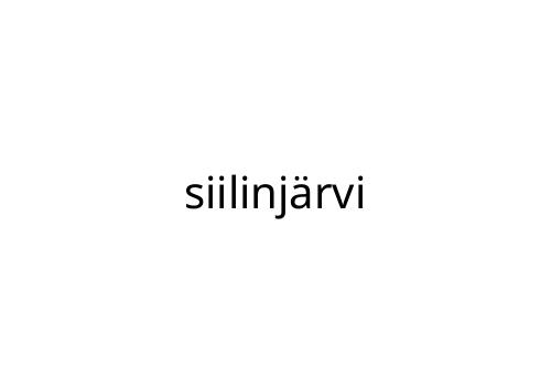 siilinj_rvi