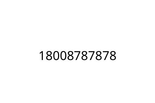 18008787878