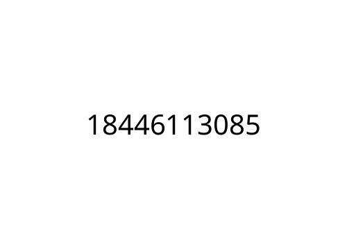 18446113085