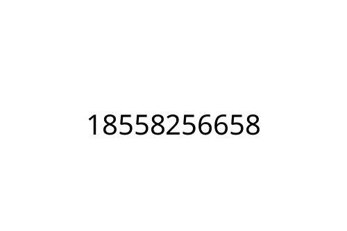 18558256658