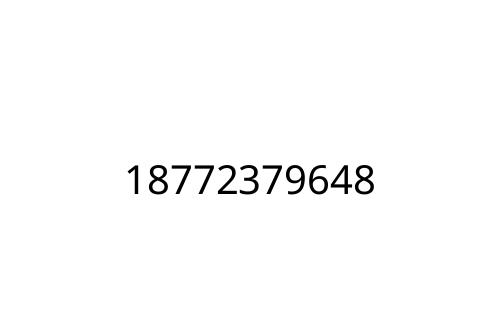 18772379648