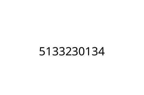5133230134