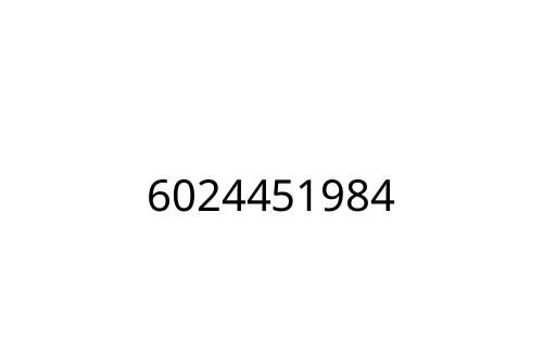 6024451984