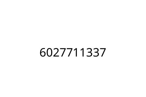6027711337
