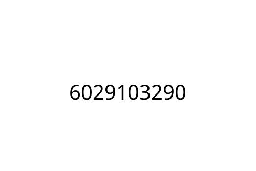 6029103290