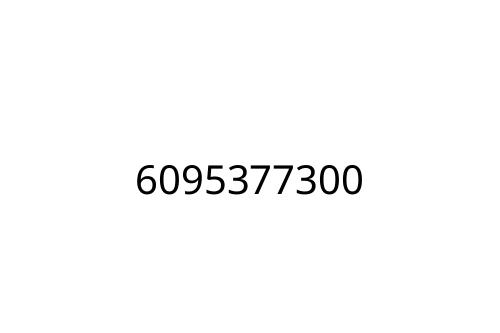 6095377300