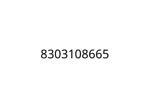 8303108665