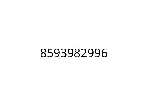 8593982996