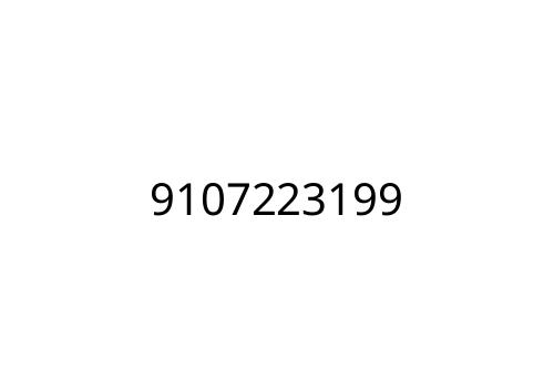 9107223199