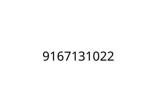 9167131022