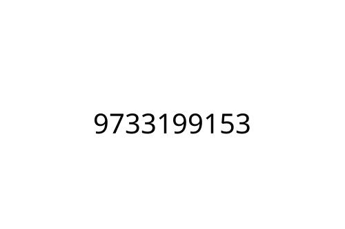 9733199153