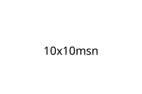 10x10msn