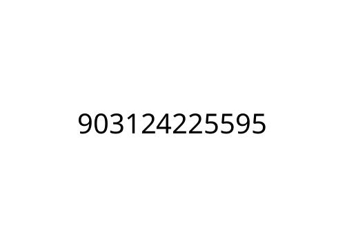 903124225595