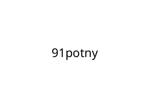 91potny