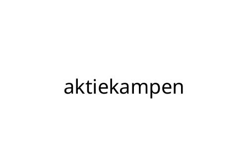 aktiekampen