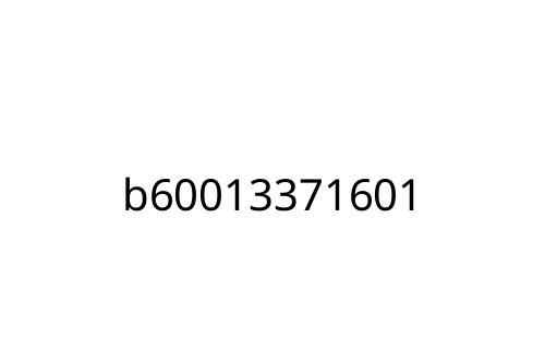b60013371601