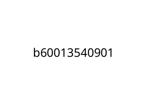 b60013540901