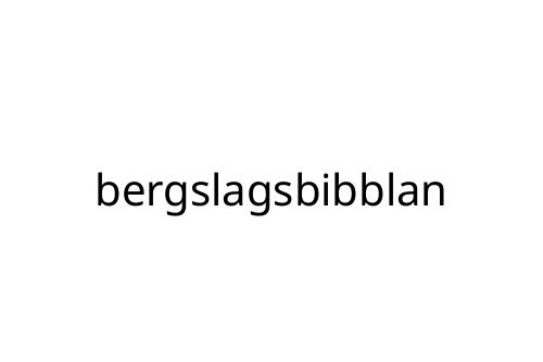 bergslagsbibblan