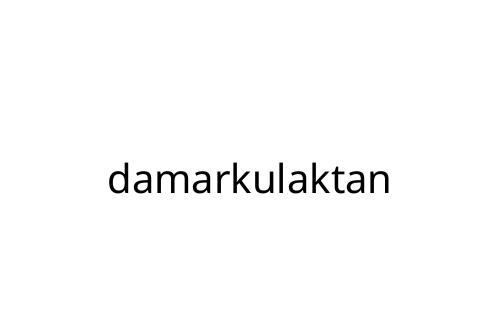 damarkulaktan