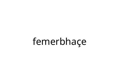 femerbha_e