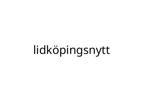 lidk_pingsnytt