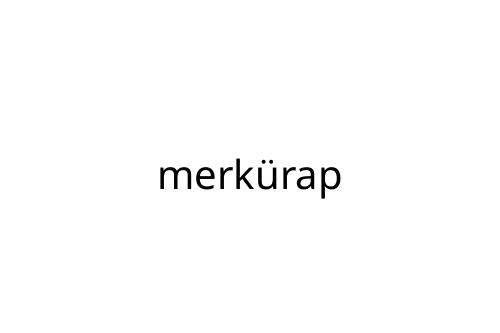 merk_rap