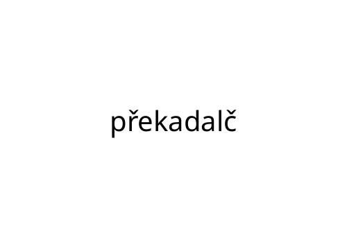 p_ekadal_