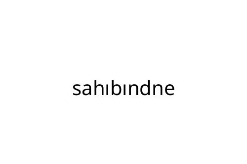 sah_b_ndne