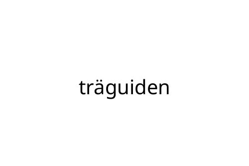 tr_guiden