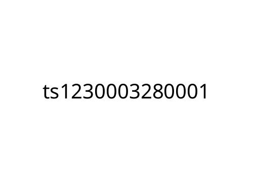 ts1230003280001