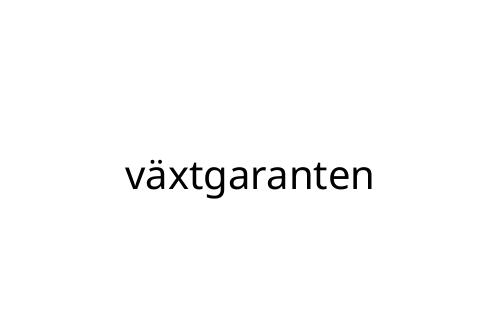 v_xtgaranten