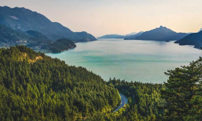 antivirus freedoor2.4.6.8