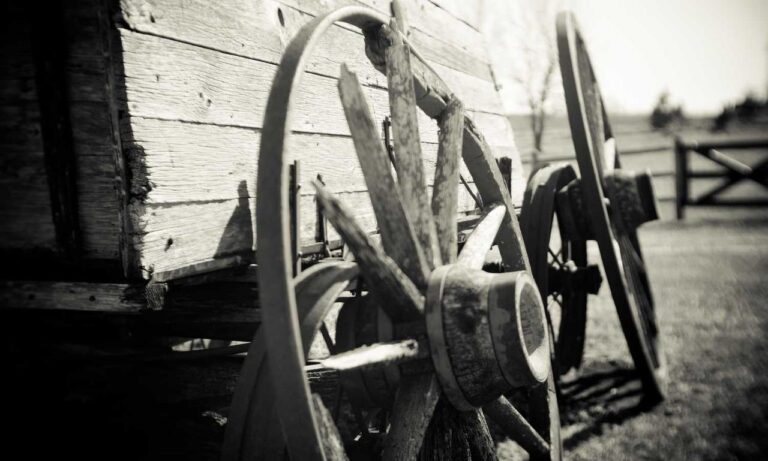 culture news roarcultable