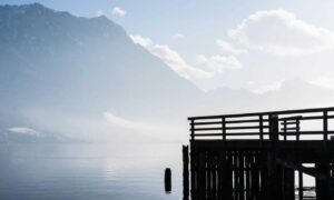 dropbox 8737.idj.029.22