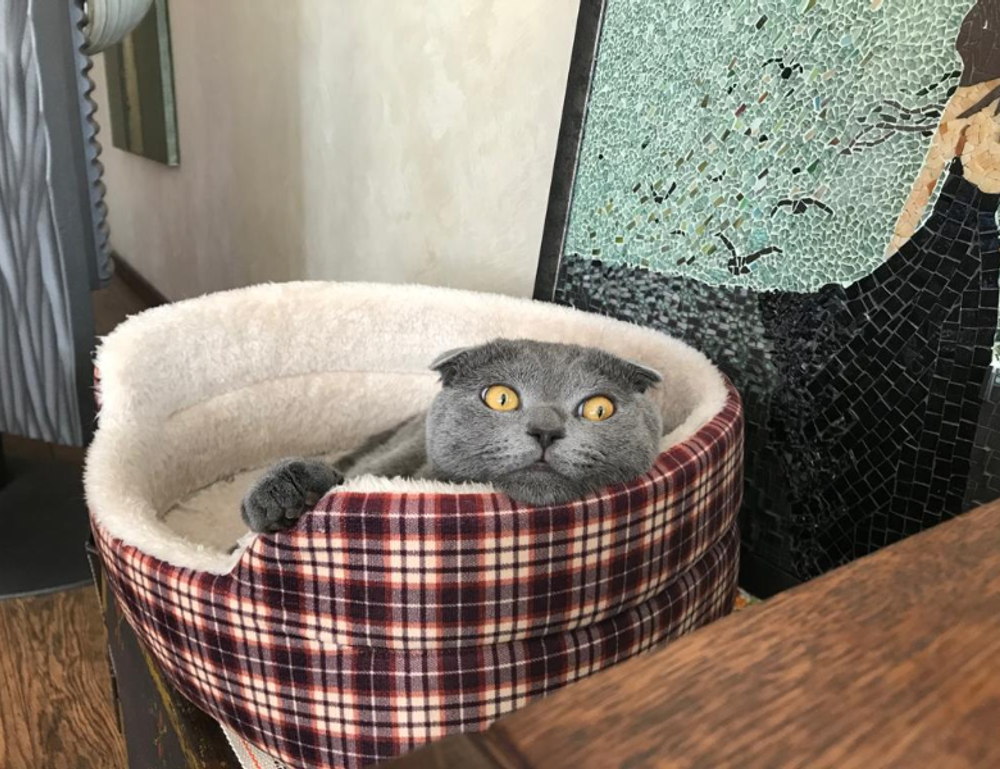 lsit of games munjoff1445