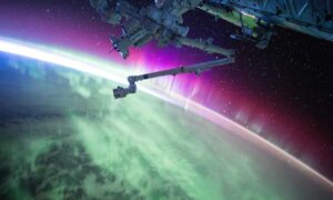 traditional food roarcultable