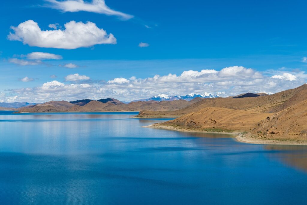 why culture matters in business roarcultable