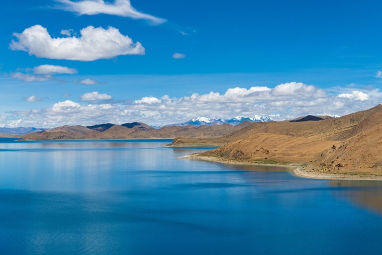 why culture matters in business roarcultable